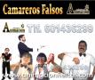 Venta Otros Servicios: camareros falsos a domicilio